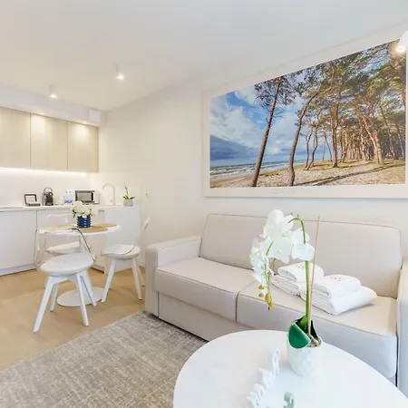 Mlynska 10 Apartman *